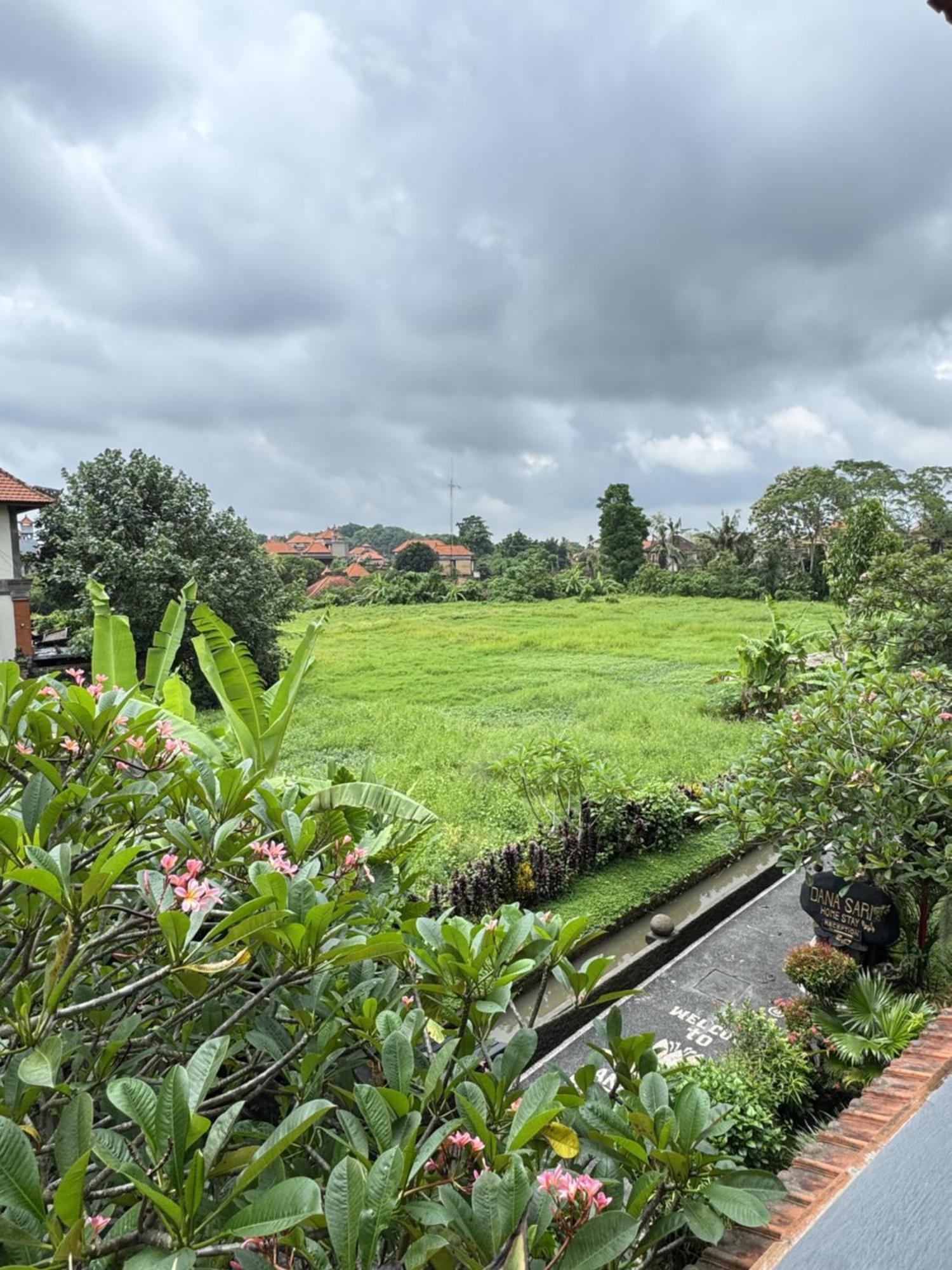 Danasari Homestay Ubud  Luaran gambar
