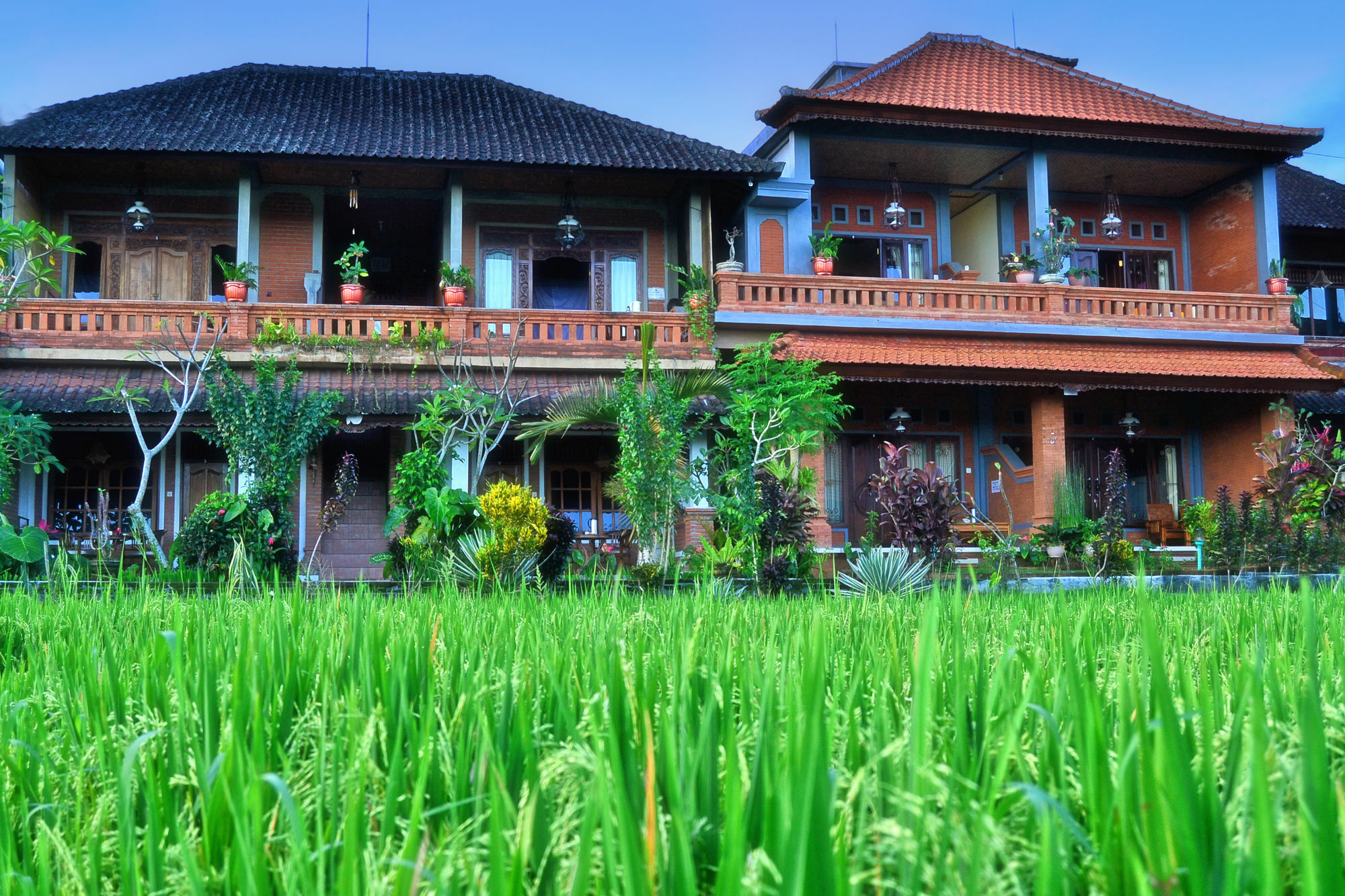 Danasari Homestay Ubud  Luaran gambar