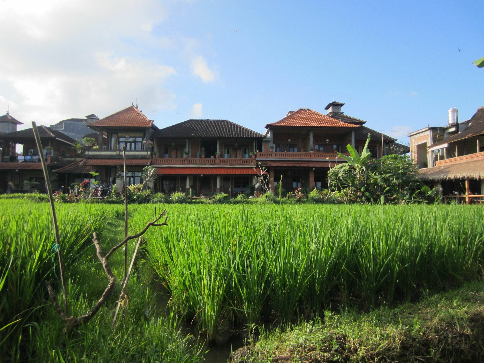 Danasari Homestay Ubud  Luaran gambar